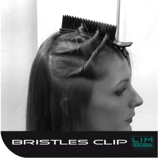 Bristles gyors hajcsipesz 5-10 hajtincs rögzítésére 1db